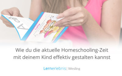 Wie du die aktuelle Homeschooling-Zeit mit deinem Kind effektiv gestalten kannst – 10 Tipps